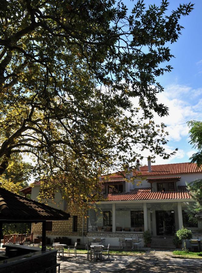 Κonitsa Gefyri Hotel Kónica Kültér fotó